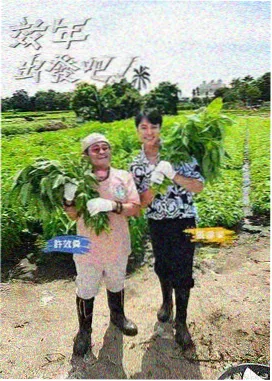 在线视频99 综艺速递 荒野搭子 在线观看