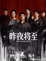 无声证词 电视剧全集免费